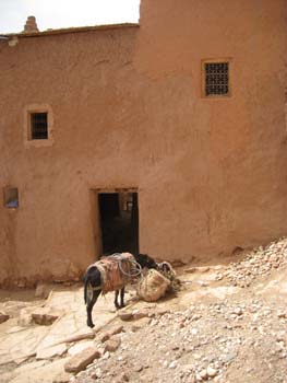 DONKEY INBH
