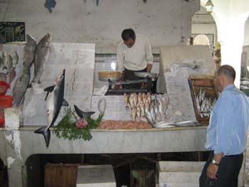 FISH