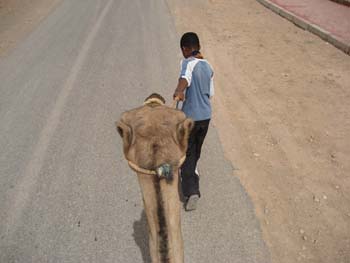 ME ON CAMEL