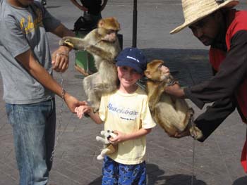 MONKEYS