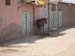 HORSE IN STREET